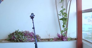 ÚNETE Y SUSCRÍBETE CANAL OFICIAL MAX CASTRO https://youtube.com/c/MaxCastroOFICIAL LO MÁXIMO 💪💪💪💪💪💪GRACIAS 🇵🇪🌎🇵🇪 | Max Castro