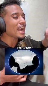 🦟もし蚊がいなくなったら？【見過ごされてきた真実】意外な生態系の役割を解明🧐#蚊 #虫 #生物 #もしもシリーズ #教育