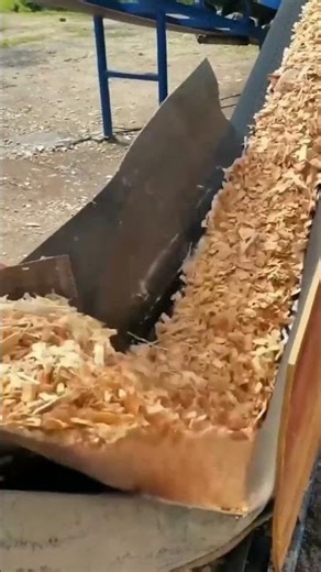 Stump Grinder Equipment for Commercial Arborists and Landscapers #GreenWasteRecycling #smartenergy