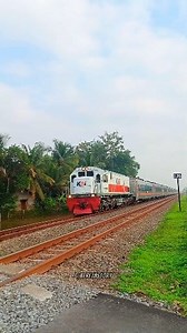 Kereta Api Logawa Pelari Tunggal Purwokerto - Ketapang PP . . . . . . . . . #reels #pecintakeretaapi #train #transportasi #kai #railway #keretaapi #viral #masinis #railroad #fyp #lokomotif #kaiacces | Ady Al Fikri