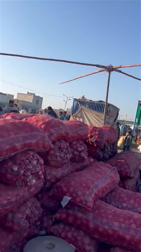 Exploring the Punjabi Onion Fruit Market
