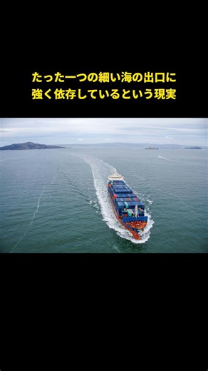 トランプが日本を名指しした「幅33kmの海峡」。ここを守らないと日本の電気・ガソリン・食料が止まる理由 #Shorts #トランプ #日本 #海峡 #シーレーン #海上輸送 #原油輸送 #食料安全保障