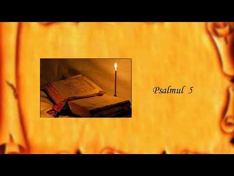 Catisma 1 ... Psalmii 1 - 8