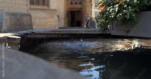 Close-up view of water ripples in a pond with droplets creating splashes, slow motion 800 fps, showing calm outdoor setting and the peaceful movement of water near a flowered fountain