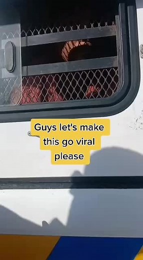 Llew. D (@llew.d)’s videos with original sound - Llew. D