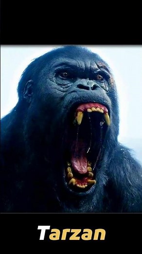 معركة طرزان ضد أقوي قرد في الغابة | ملخص فيلم Tarzan