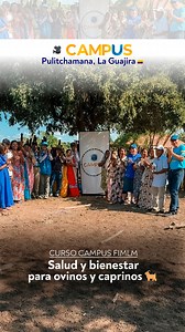 #CampusFIMLM 🇨🇴 | 🔎Aprendamos juntos con el Campus desde La Guajira. La comunidad indígena de Pulitchamana aprendió a proteger la salud de sus animales, con el curso: Salud y Bienestar para Ovinos y Caprinos. 🐐 ✅ Conoce cómo fue este taller de práctica, en el que junto a la Fundacion Opam siguieron el proceso de revisión, desparasitación y suministro de vitaminas. 📩 ¿Qué otras acciones crees que son clave para el bienestar animal en comunidades rurales? ¡Te leemos! #LaGuajira #Colombia #Way