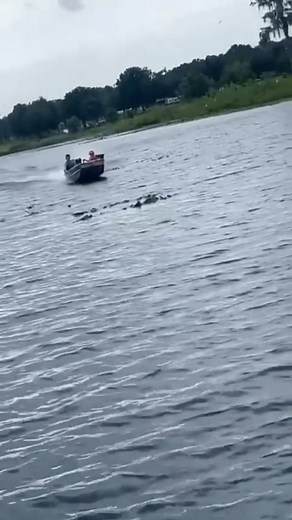 33K views · 3.3K reactions | Surface drive parked Jon boat from @thomasdelaney9 #mudskippermudmotors #mudmotor #mudmotors #mudboat #mudboats #surfacedrivemudmotor #surfacedrivemudmotors #surfacedrives #duckboat #huntingboat #jonboat #tinboat #tinyboat #aluminumboats #duckseason #boatparking #hunting #duckhunter #flatbottomboat #waterfowlhunting #smallengine #4stroke #skinnywater #mud #4x4 #boatmotor #outboards #outboardalternative #makingtheoutdoorsaffordable | Mud-Skipper.com | Facebook