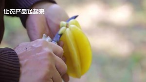 台湾小吃杨桃汤的秘密，解密杨桃种植从收获到深加工成杨桃干果脯杨桃汤全过程