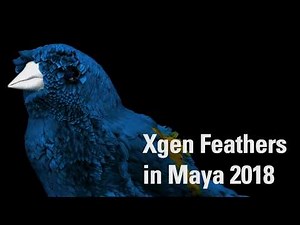 Putting feathers on a Bird in Maya 2018 using Xgen