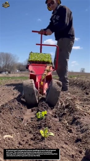 This Simple Tool Plants Perfect Rows in Seconds! 🌱🚜