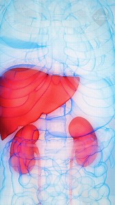Se descubrió la mentira de tomar agua con sal | Guía de Las Vitaminas
