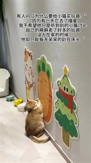 既是猫爬贴又是猫抓板还是猫抓垫，关键不掉屑不生虫，好看耐用还不贵~#猫抓板 #猫抓板推荐 #猫窝 #新手养猫 #萌宠好物