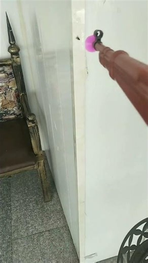 6367:Chinese man invents DIY fly shooter with toy gun precision