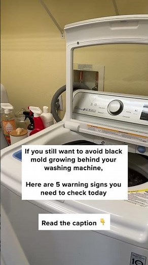 Black mold behind washing machines is more common than you think.