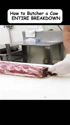 How to Butcher a Cow ENTIRE BREAKDOWN!#The #Bearded #Butchers#foryou#viral