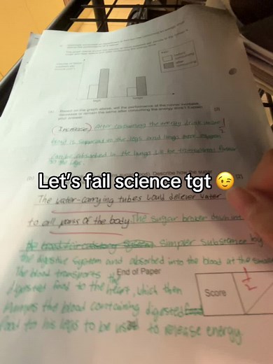 Understanding the Digestive System Workbook