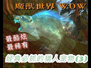 第三期 “魔兽世界经典必抓，最稀有，最酷炫的猎人宠物” 来啦！！这期是灵魂兽（涵盖坐标，刷新时间，宠物类型和技能）。#大角阿克图瑞斯##洛卡纳哈##古德利亚##逐日##星光龙伊拉贡##灵魂兽#