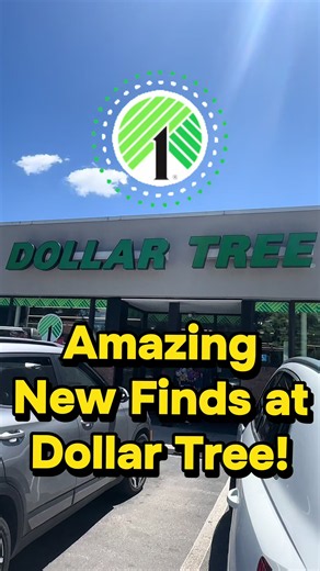 Dollar Tree Finds 2026: Amazing New Dollar Store Finds & Cheese Squishy