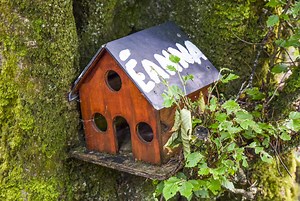 Forget Leprechauns–These Fairies Rule Ireland