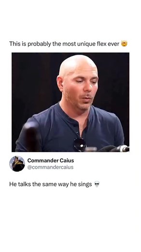 Memes, Entertainment, News on Instagram: "Whole time this dude was just talking in his songs 🤣 Armando Christian Pérez, professionally known as Pitbull, has had such sustained chart success and media visibility since the late 2000s that his stage name often dominates search results over the dog breed it shares. The running joke plays on the collision between an everyday word and a global pop star, where searches for “pitbull” surface music, tour news, and celebrity coverage before images of the