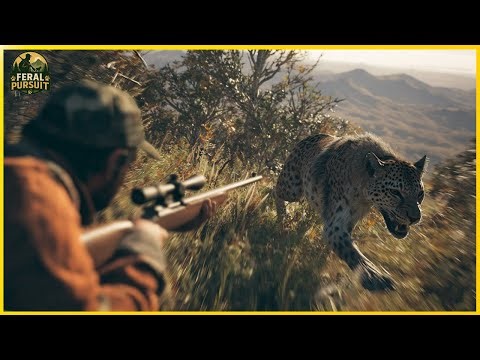 When the Hunter Becomes the Hunted: The Leopard Chase Through Arusha | Invasive Species