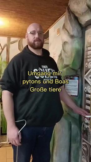 Umgang mit Pythons und Boas: Tipps für die richtige Haltung