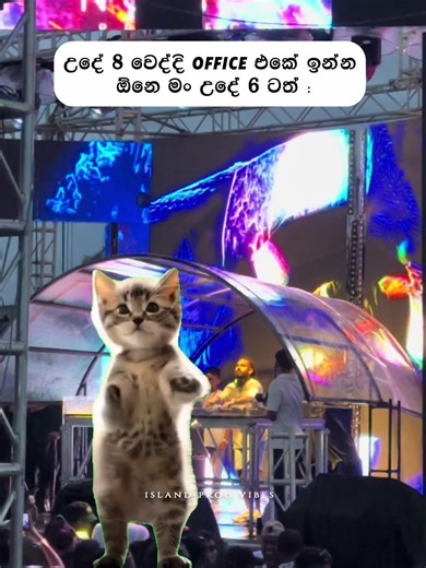 ISLAND PROG VIBES on TikTok