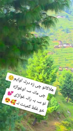 Humorous Video Compilation with Emojis and Reactions