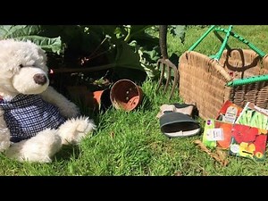 Snail Trail | Story Time With Bann Bear