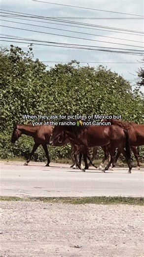 Exploring the Beauty of the Rancho in Mexico