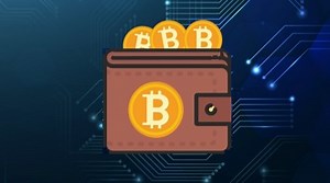 What’s In Your (Bitcoin) Wallet?