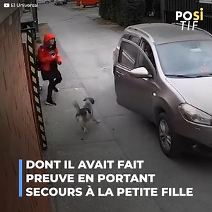 101K views · 1.1K reactions | Un petit chien errant est arrivé juste...