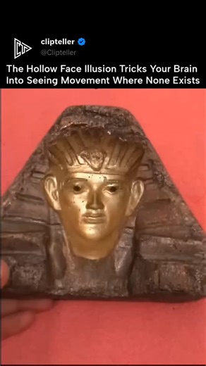 theclipteller | The hollow-face illusion (or hollow-mask illusion) is a classic optical trick where the inside of a concave mask is perceived as a normal,... | Instagram