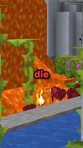 Best Lifesteal SMP #lifestealsmp