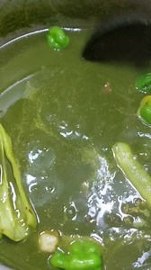 Delicious Green Bell Pepper Soup Recipe