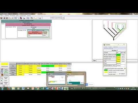Cours C4061 en cycle 4 - Phylogène : Différentes espèces, représentation des liens de parentes