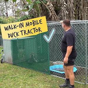 This Is How I Built My Walk-In Mobile Duck Coop 🦆 | Self Sufficient Me