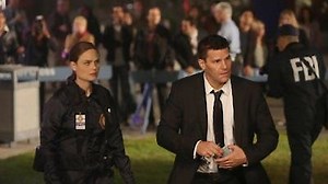 Watch Bones Season 9 Episode 4 - The Sense in the Sacrifice