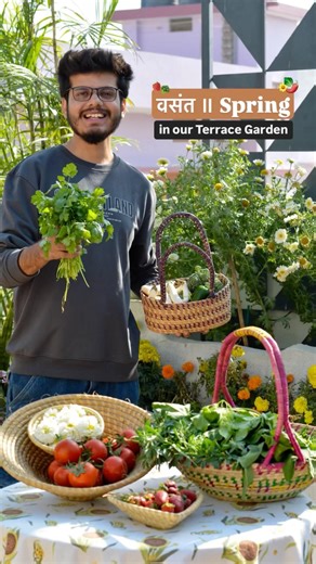 Colourful SPRING in our Terrace Garden 😱🤩 #homegardening #growyourownfood #ytshortsindia