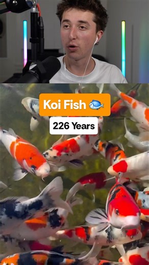 animals that outlive humans 🤯😱