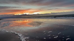 Susan Conniry on Reels