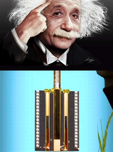 Exploring the Beauty of Physics Through 3D Animation