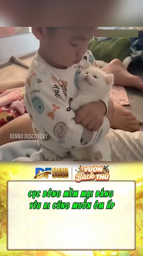 240K views · 10K reactions | Chú mèo con được cả nhà cưng chiều, suốt ngày làm nũng! #dongvat #thegioidongvat #thucung #pet #meow #viral | DF999 Vườn Back Thú | Facebook