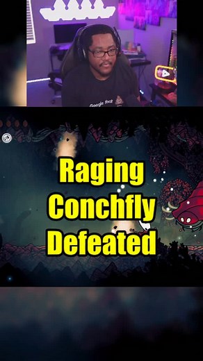 This is how it felt to defeat the raging conchfly on my second attempt in hollow knight silksong. #metroidvania #hollowknight #hollowknightsilksong #silksong #gaming | Daobeezy