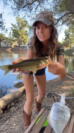 PESCA DE LUBINA