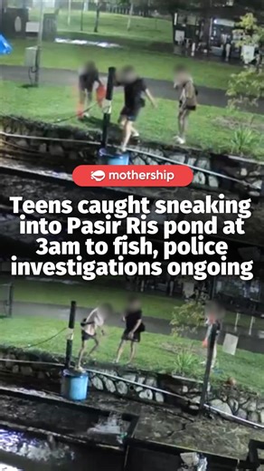 Among the three hybrid groupers caught by the teens, one was taken by the girl, one slid back into the pond, and another was found dead after they tossed it onto the pavement while fleeing when staff approached. In response to Mothership's queries, the police confirmed that they have received a report. Investigations are ongoing. | Mothership