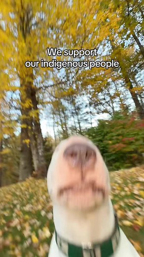 Support Indigenous Rights and Acknowledge History