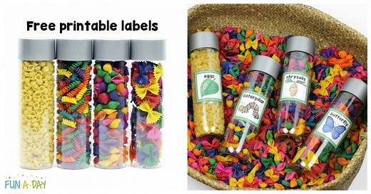 How to Make Butterfly Life Cycle Sensory Bottles