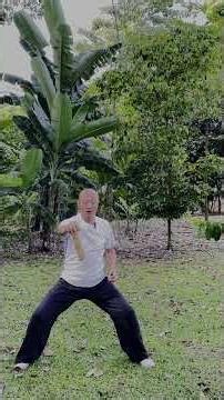 Short Stick Chin Na Basics | Horse & Bow Stance Throwing and Control马步弓步短棍擒拿基本功｜抛抓拧旋训练与步型配合解析
